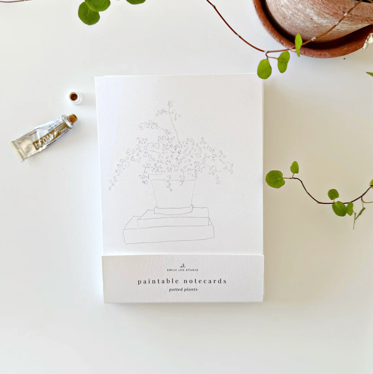 Potted Plants Paintable Watercolor Notecard Set by Emily Lex Studio