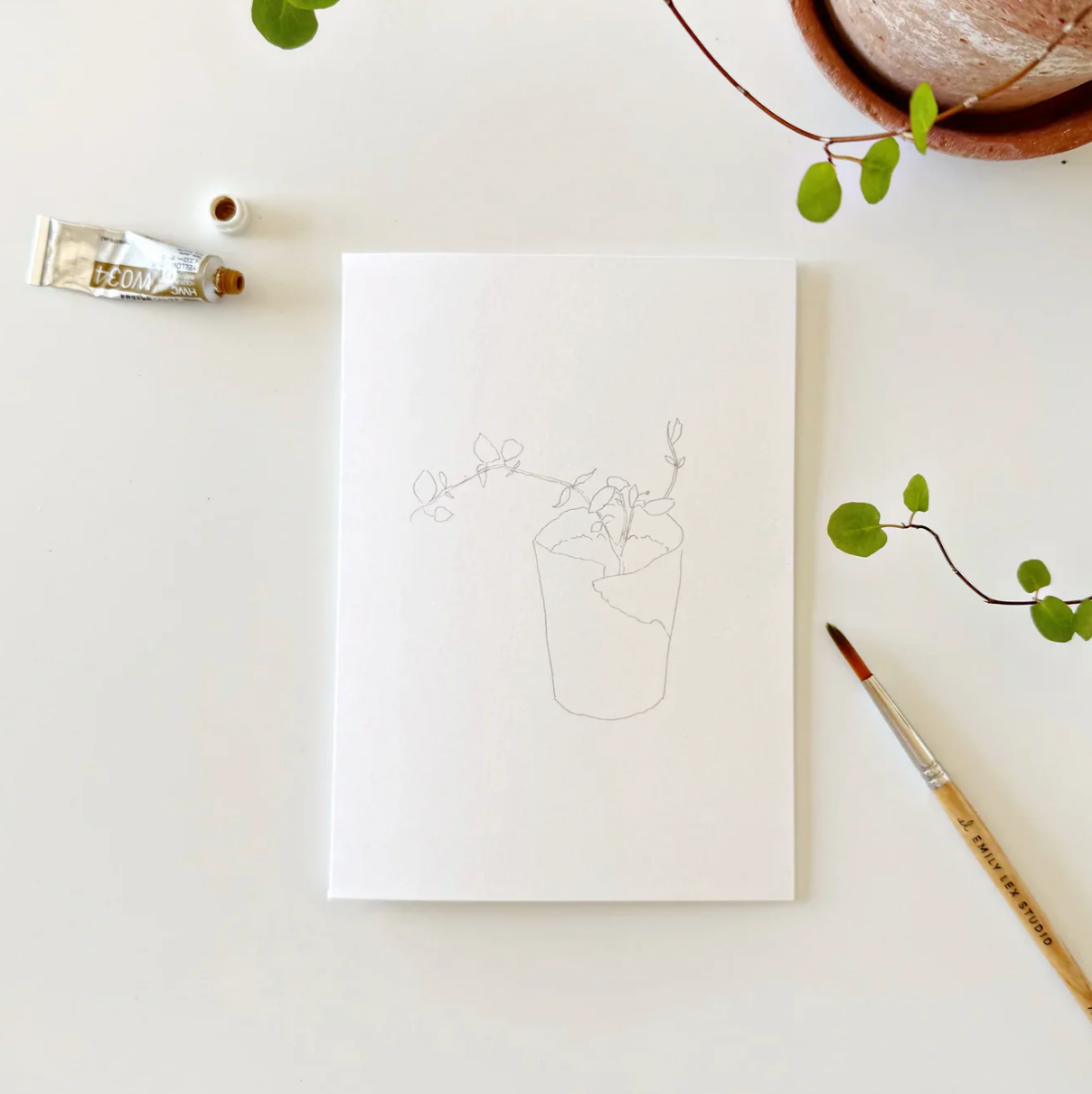Potted Plants Paintable Watercolor Notecard Set by Emily Lex Studio