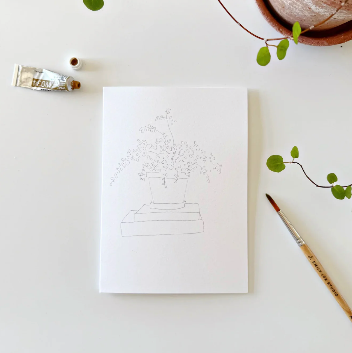 Potted Plants Paintable Watercolor Notecard Set by Emily Lex Studio