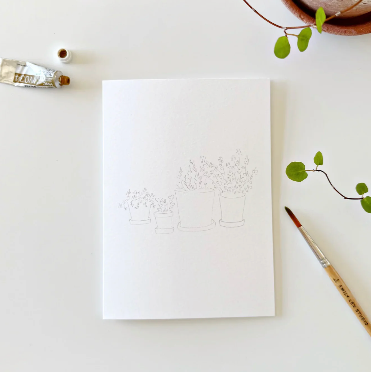 Potted Plants Paintable Watercolor Notecard Set by Emily Lex Studio