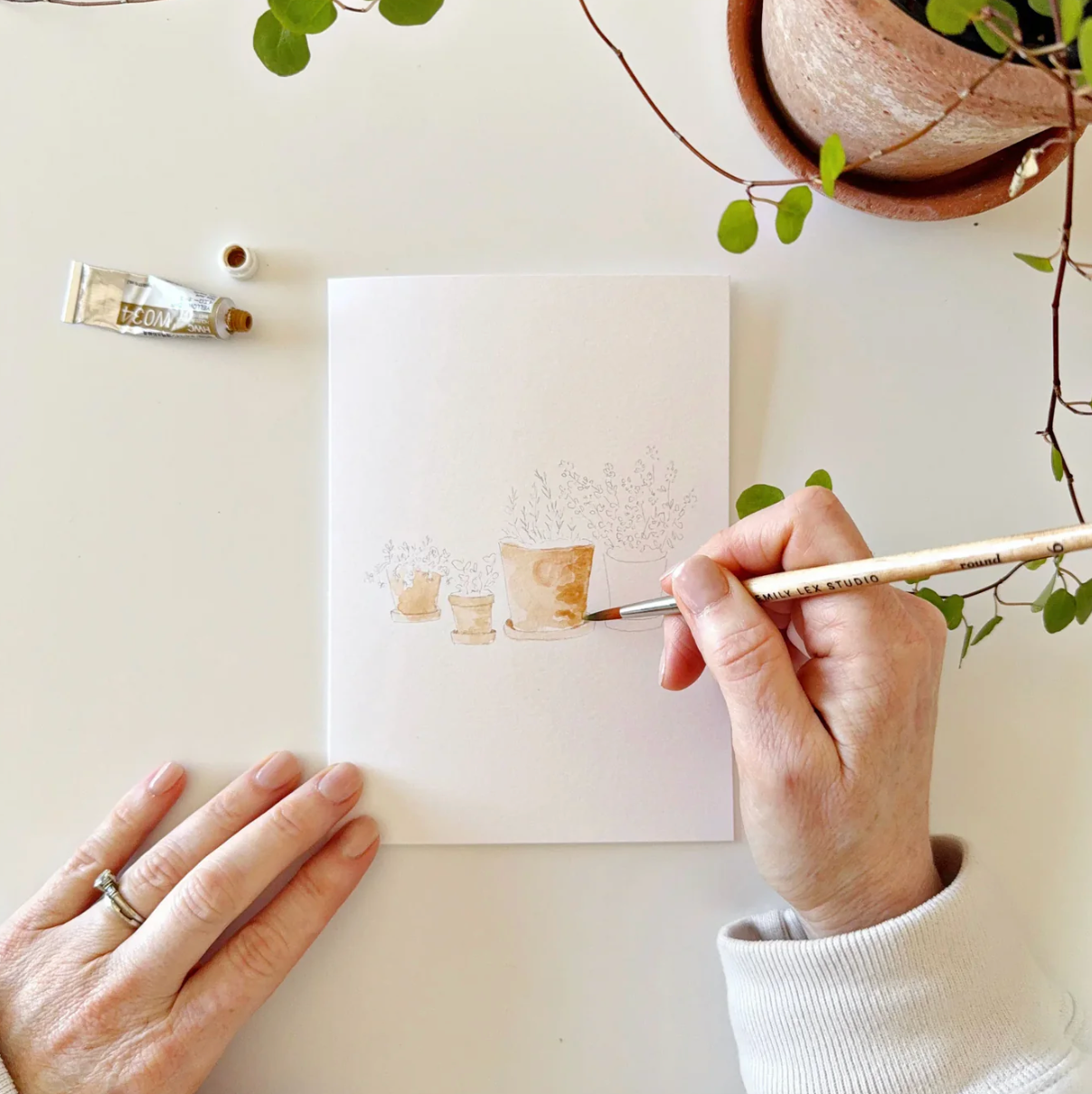 Potted Plants Paintable Watercolor Notecard Set by Emily Lex Studio