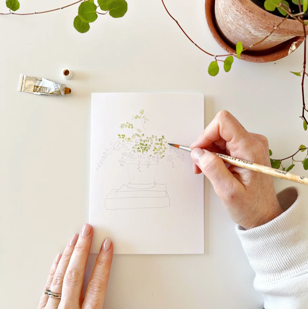 Potted Plants Paintable Watercolor Notecard Set by Emily Lex Studio