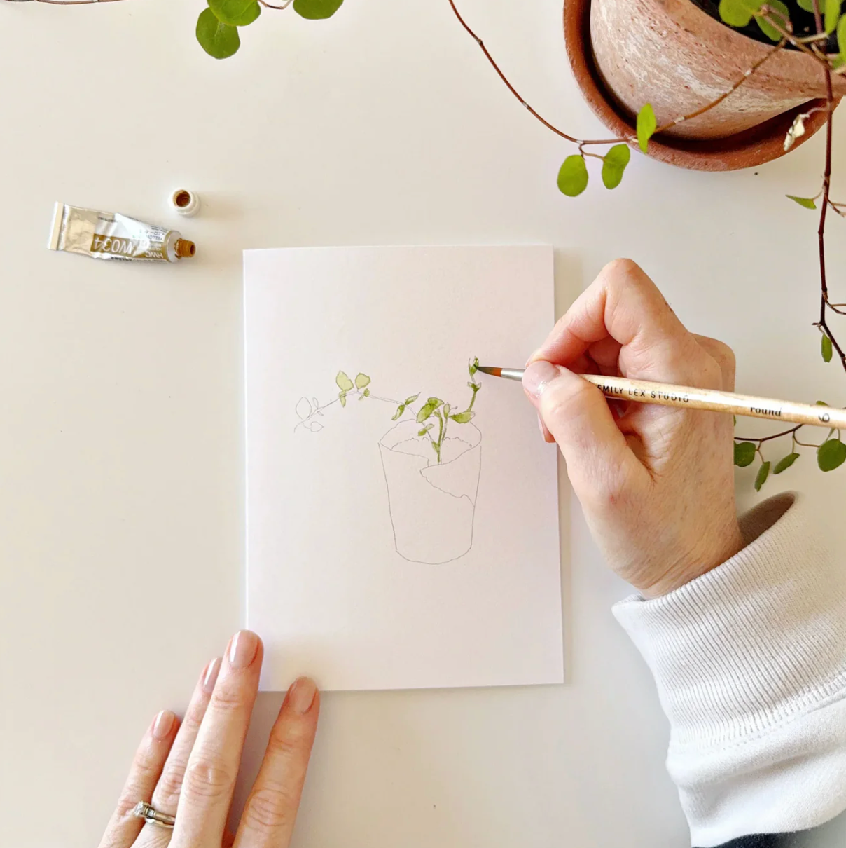 Potted Plants Paintable Watercolor Notecard Set by Emily Lex Studio