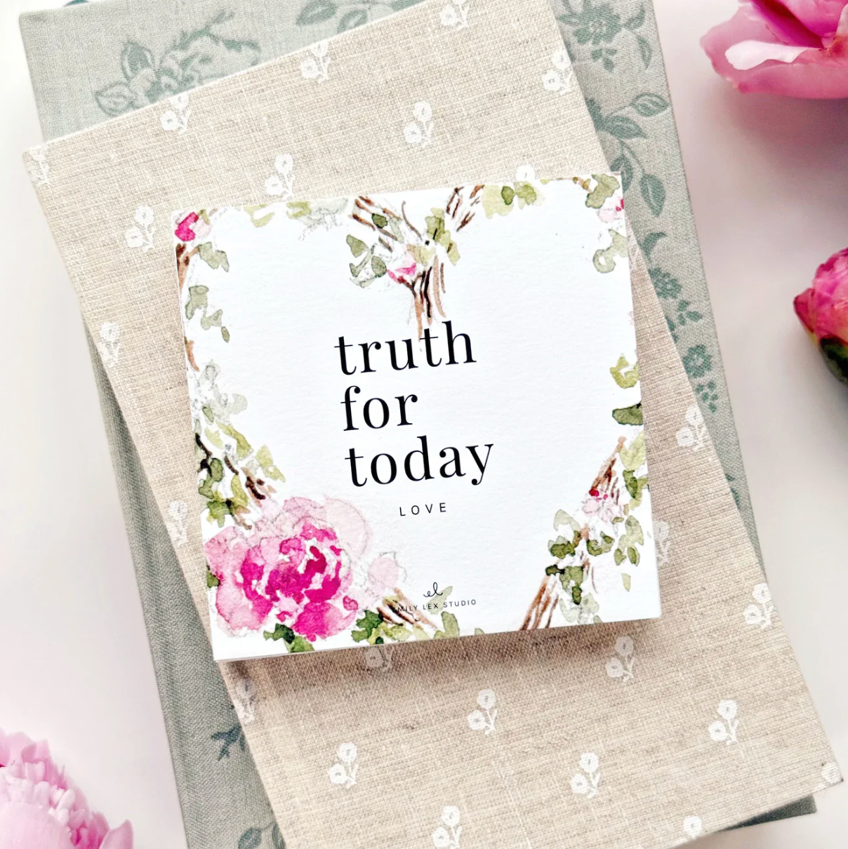 Truth for Today Love Cards by Emily Lex Studio