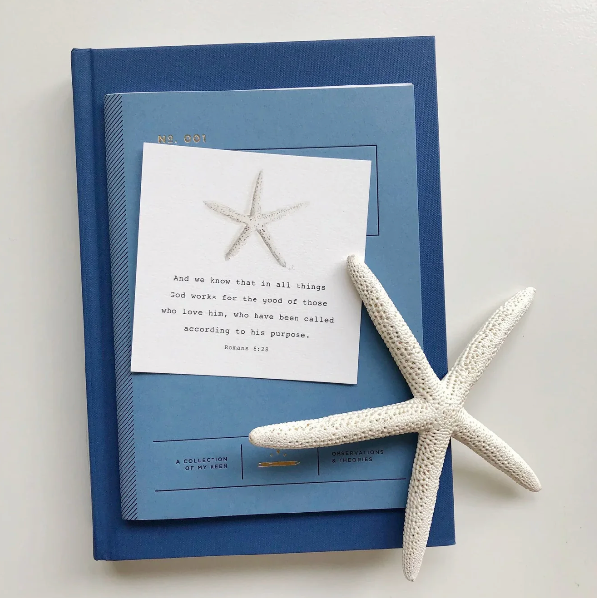 Truth for Today Cards for Kids by Emily Lex Studio