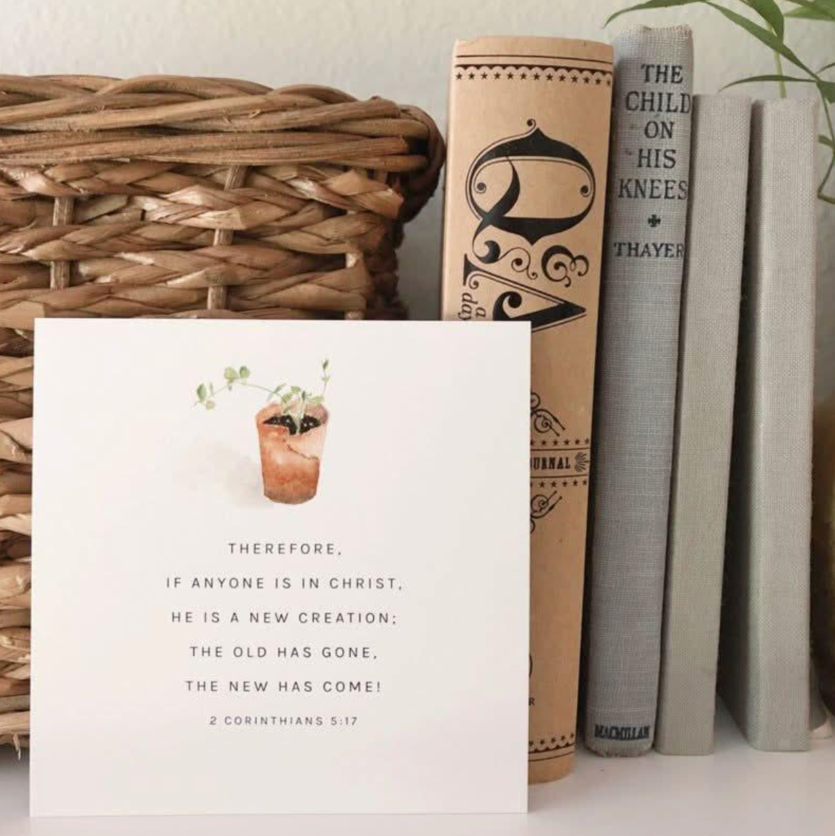 Truth for Today Cards by Emily Lex Studio