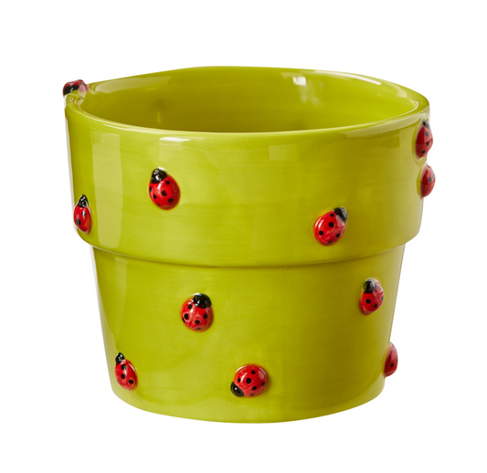 Ladybug Garden Planter