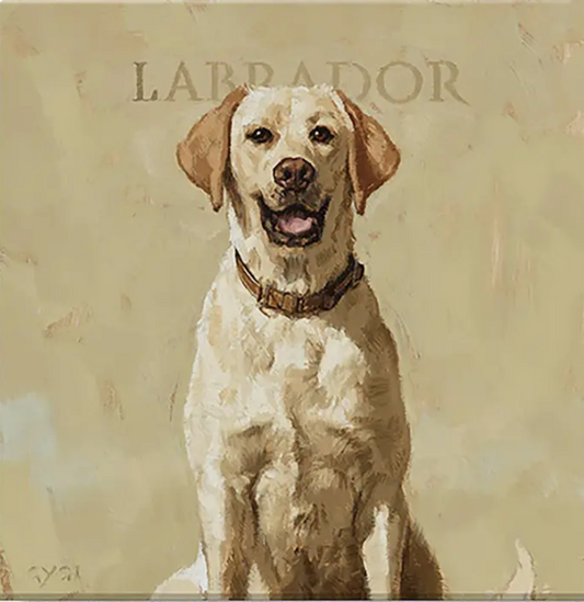 Labrador Giclee Wall Art 9x9"