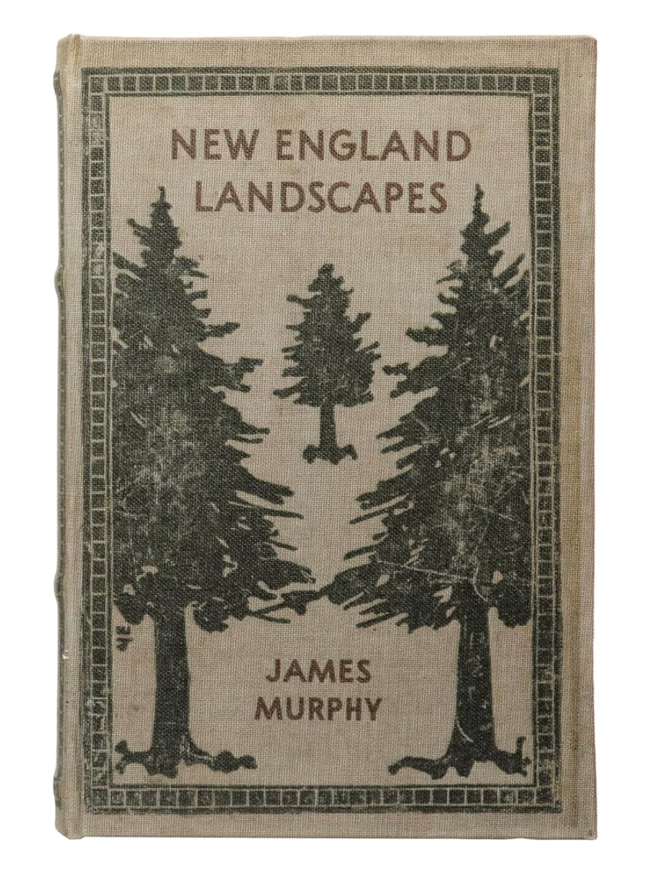 "New England Landscapes" Canvas Book Storage Boxes (2 Sizes/Styles)