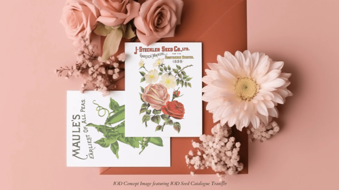 Seed Catalogue IOD Transfer 8x12 Pad by Iron Orchid Designs