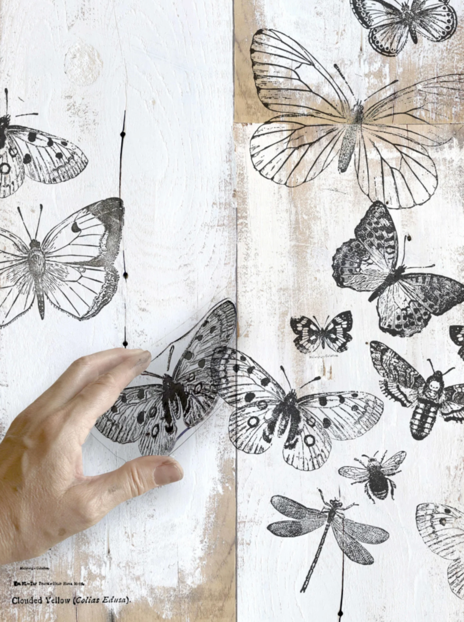 Butterflies 12x12 IOD Decor Stamp by Iron Orchid Designs