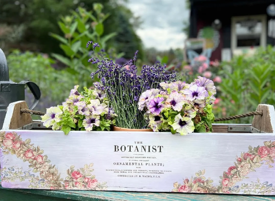 The Botanist IOD Transfer 12x16 Pad by Iron Orchid Designs (Retired!)