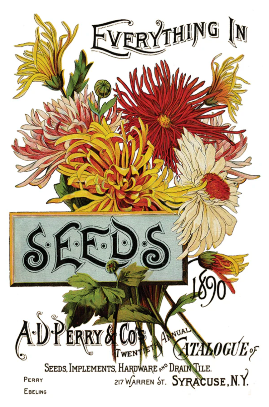 Seed Catalogue IOD Transfer 8x12 Pad by Iron Orchid Designs
