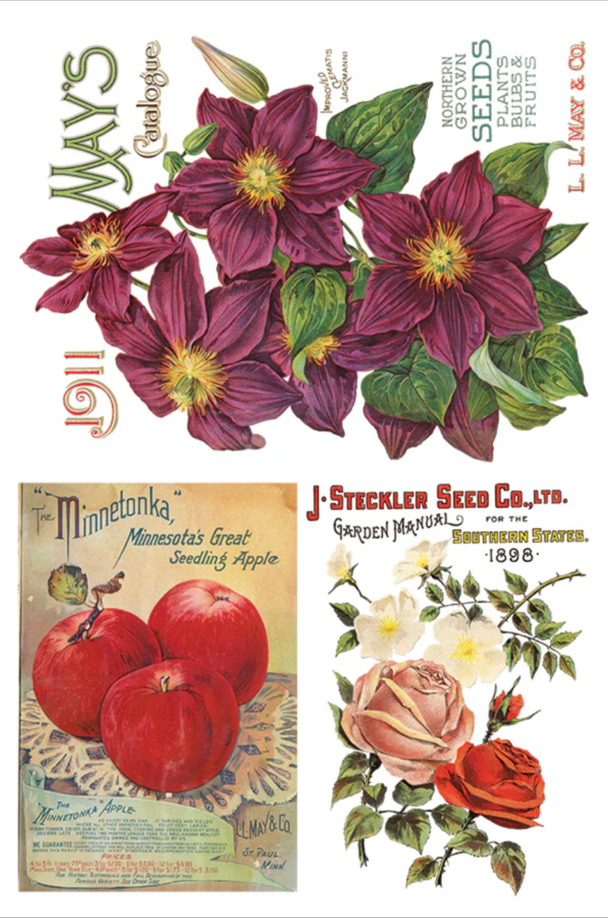 Seed Catalogue IOD Transfer 8x12 Pad by Iron Orchid Designs