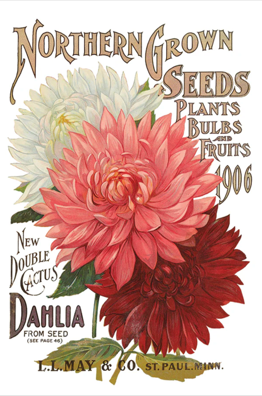 Seed Catalogue IOD Transfer 8x12 Pad by Iron Orchid Designs