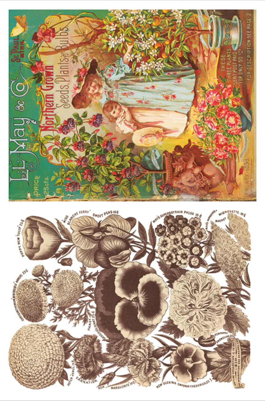 Seed Catalogue IOD Transfer 8x12 Pad by Iron Orchid Designs