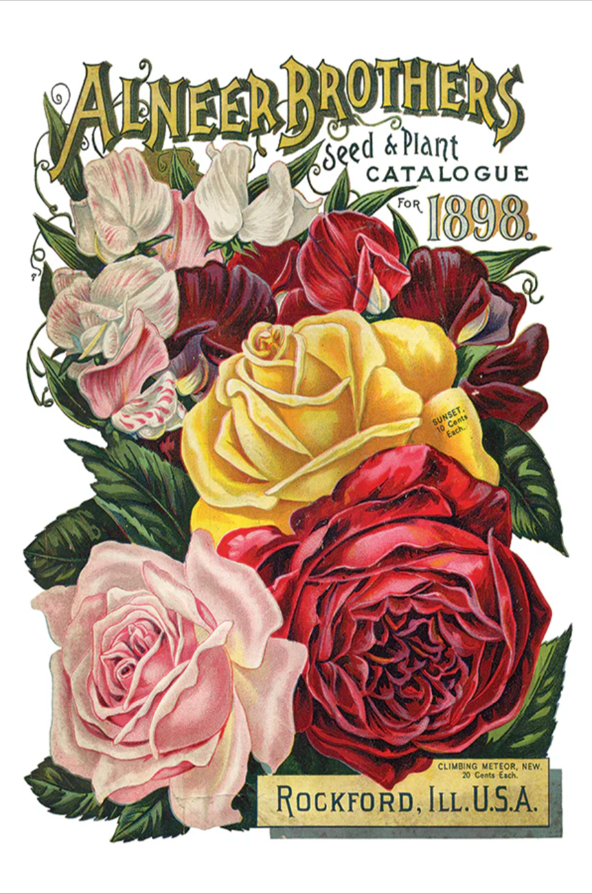 Seed Catalogue IOD Transfer 8x12 Pad by Iron Orchid Designs