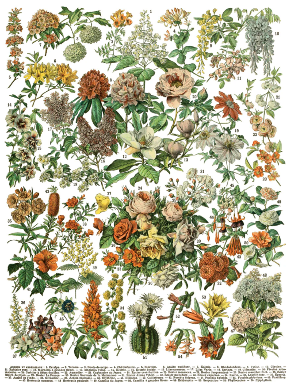 Millot's Pages IOD Transfer 12x16 Pad by Iron Orchid Designs