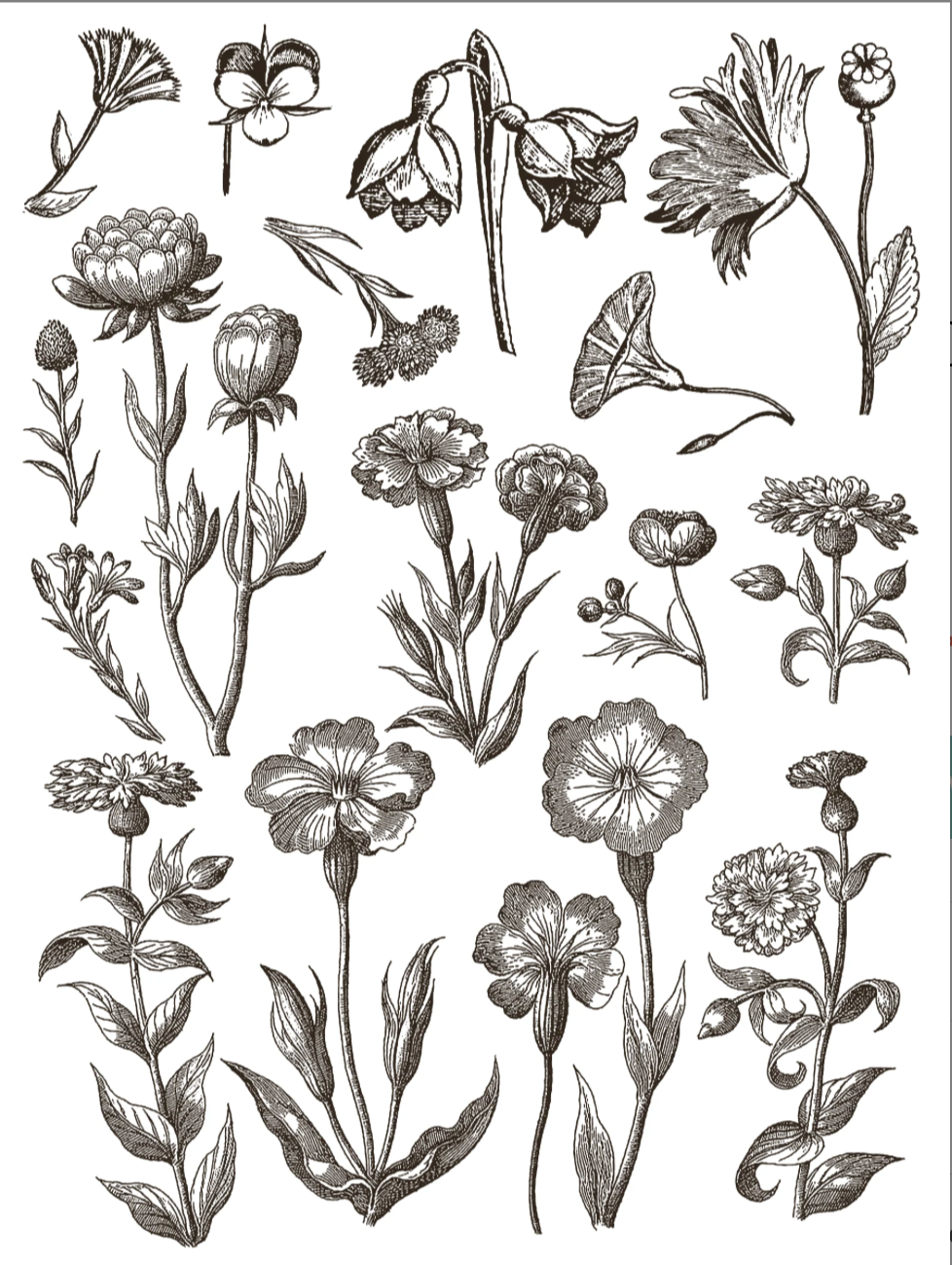 Floriography IOD Paint Inlay 12x16 Pad by Iron Orchid Designs