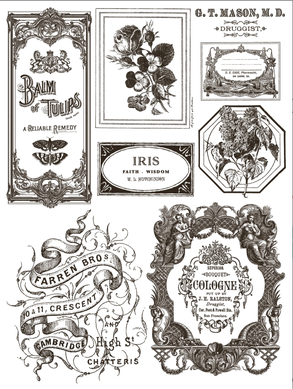 Floriography IOD Paint Inlay 12x16 Pad by Iron Orchid Designs