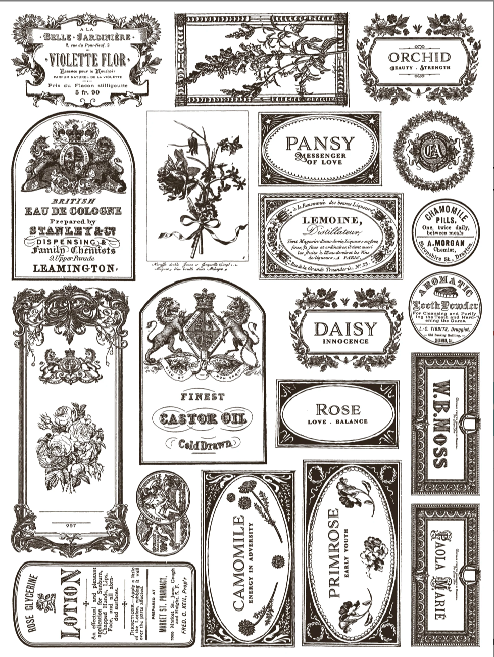 Floriography IOD Paint Inlay 12x16 Pad by Iron Orchid Designs