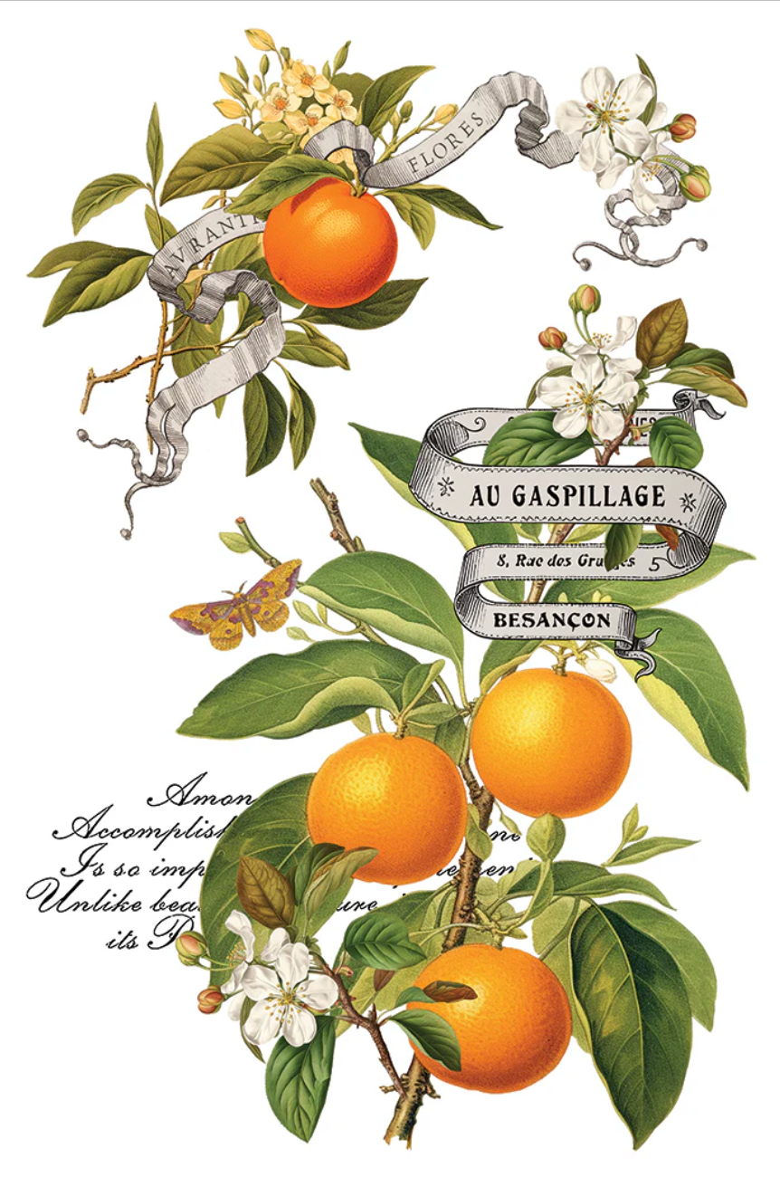 Clementine IOD Transfer 8x12 Pad by Iron Orchid Designs