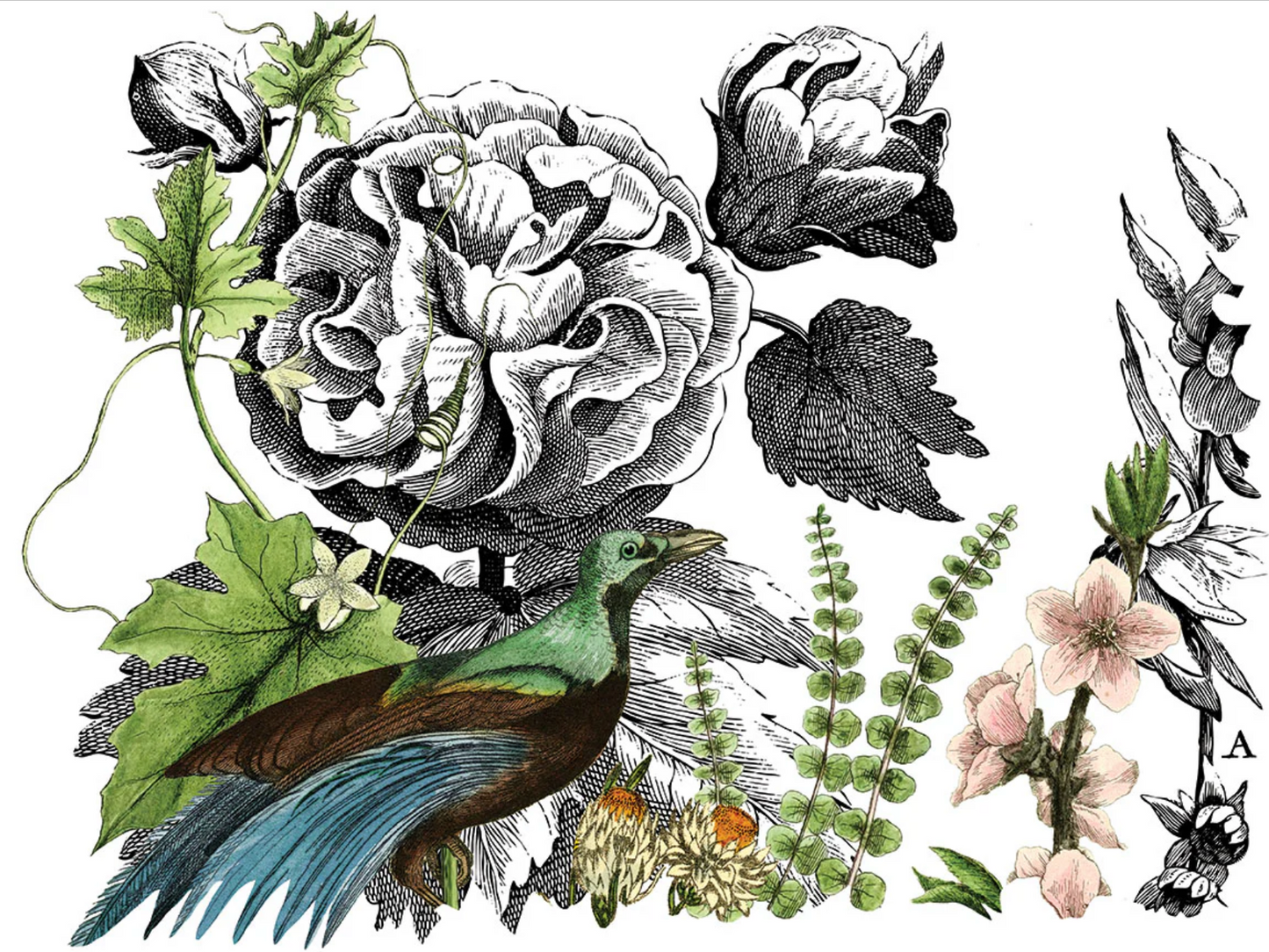Midnight Garden IOD Transfer 12x16 Pad by Iron Orchid Designs