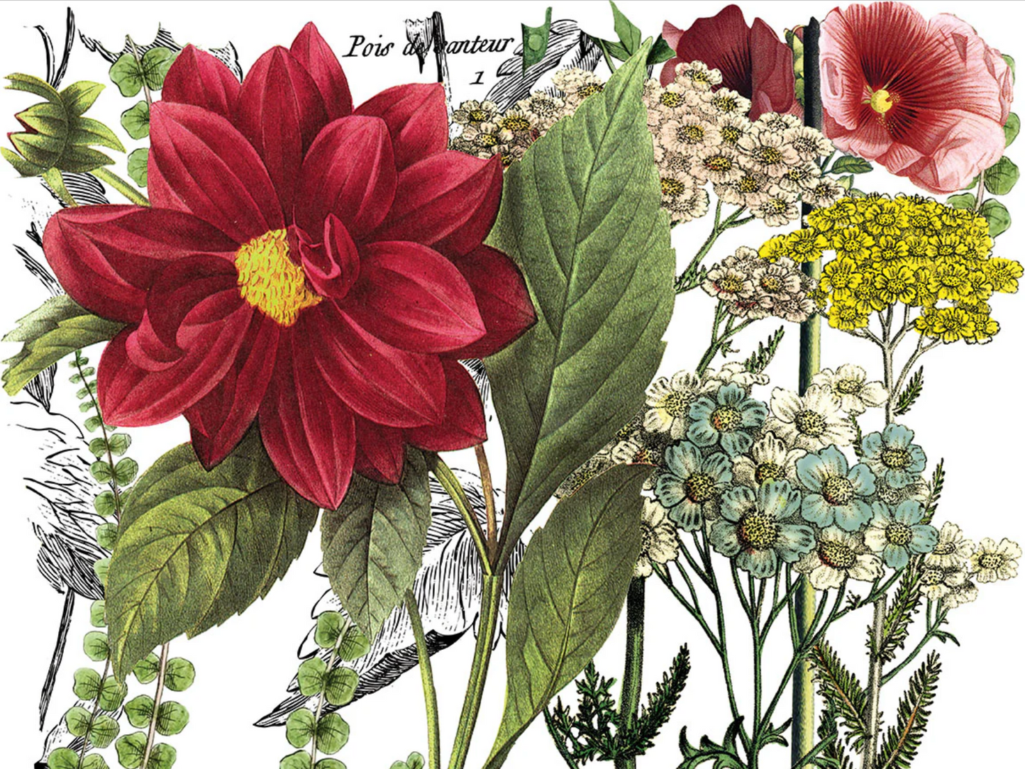 Midnight Garden IOD Transfer 12x16 Pad by Iron Orchid Designs