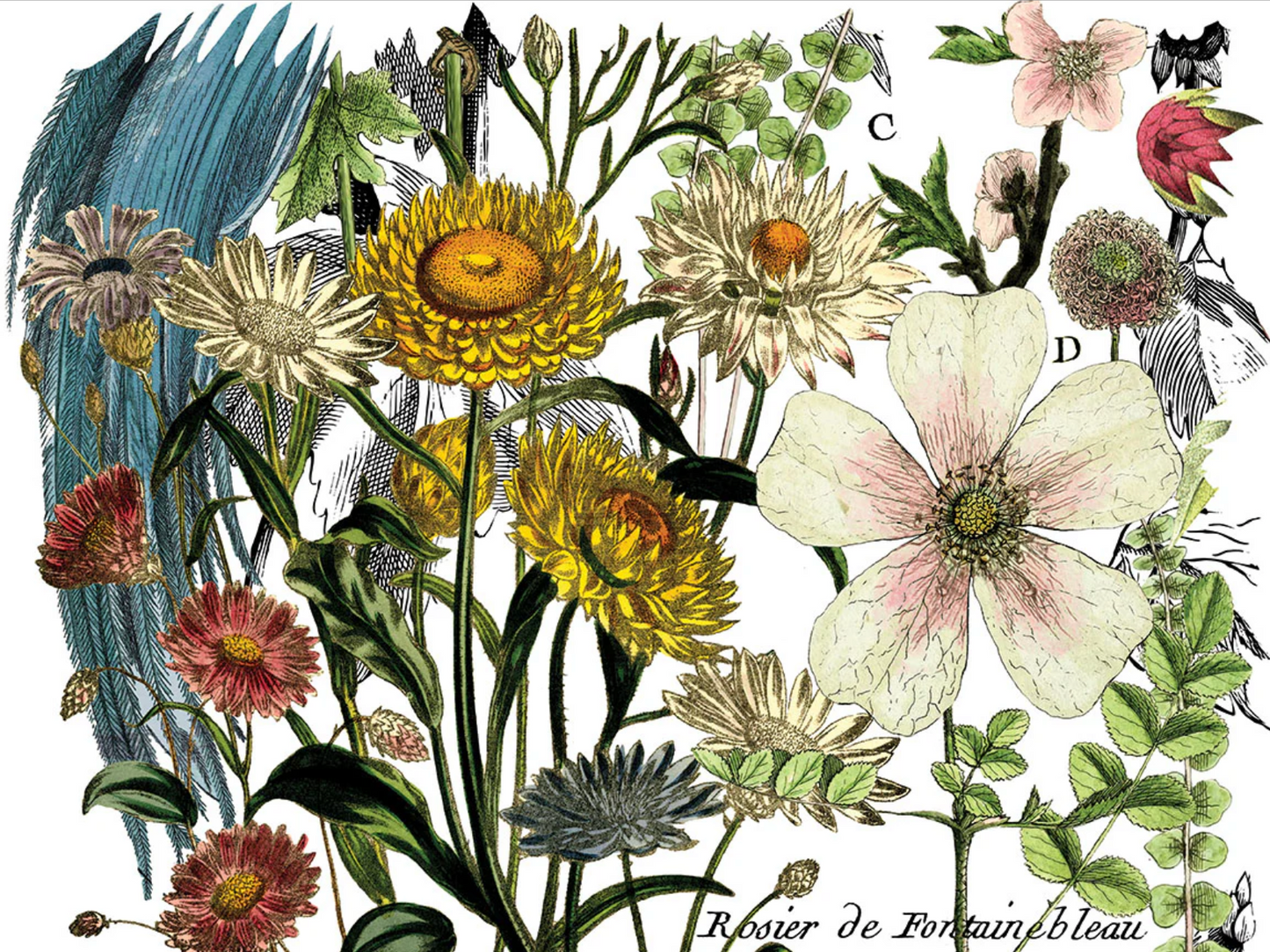 Midnight Garden IOD Transfer 12x16 Pad by Iron Orchid Designs