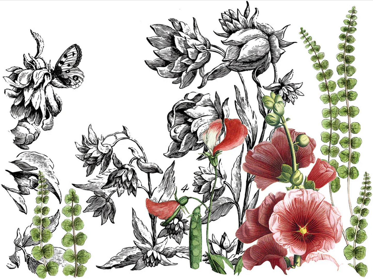 Midnight Garden IOD Transfer 12x16 Pad by Iron Orchid Designs