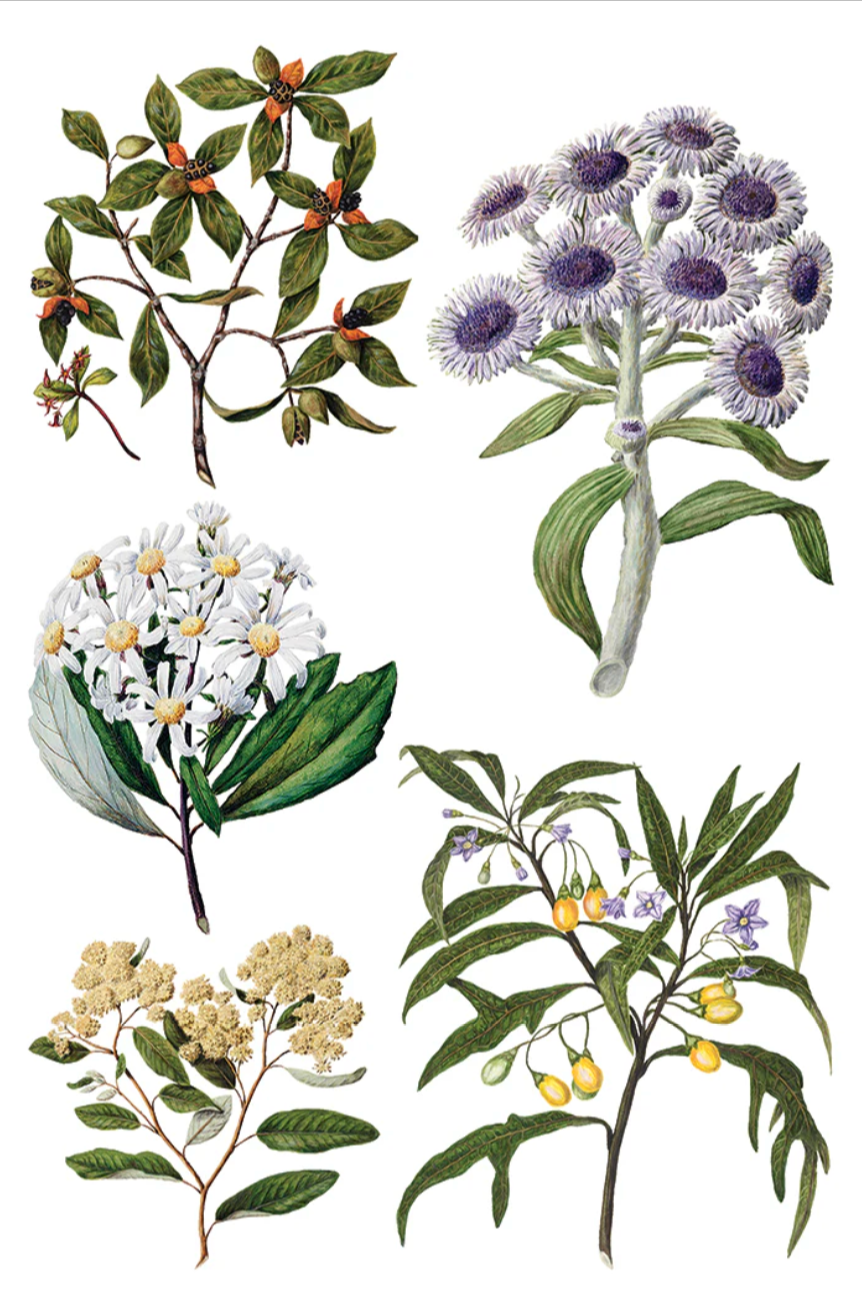 Sarah Featon's Botanicals IOD Transfer 8x12 Pad by Iron Orchid Designs