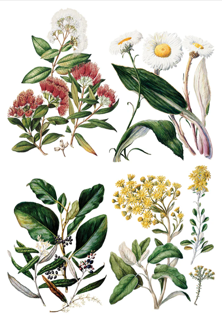 Sarah Featon's Botanicals IOD Transfer 8x12 Pad by Iron Orchid Designs