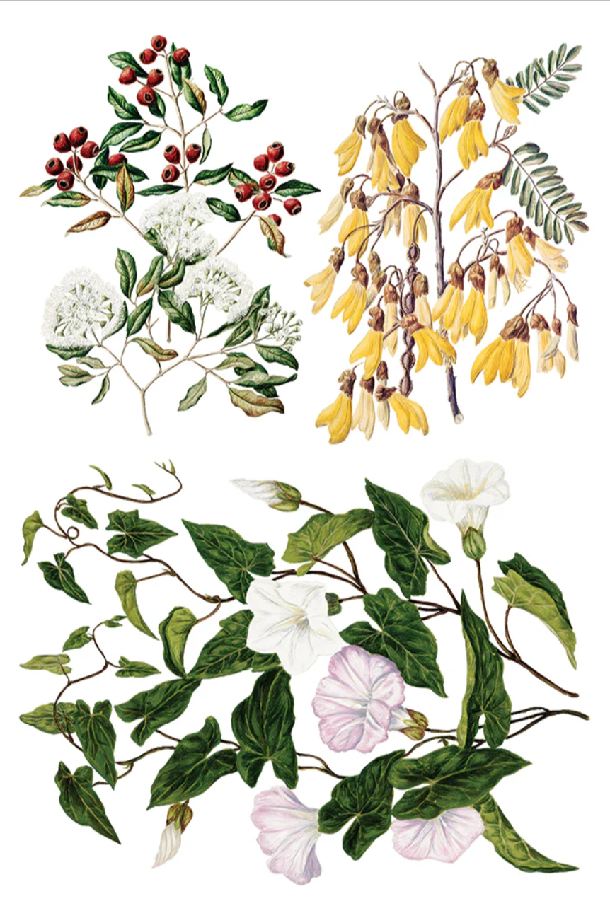 Sarah Featon's Botanicals IOD Transfer 8x12 Pad by Iron Orchid Designs