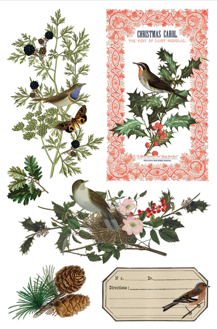 Winter Botanist IOD Transfer 8x12 Pad by Iron Orchid Designs