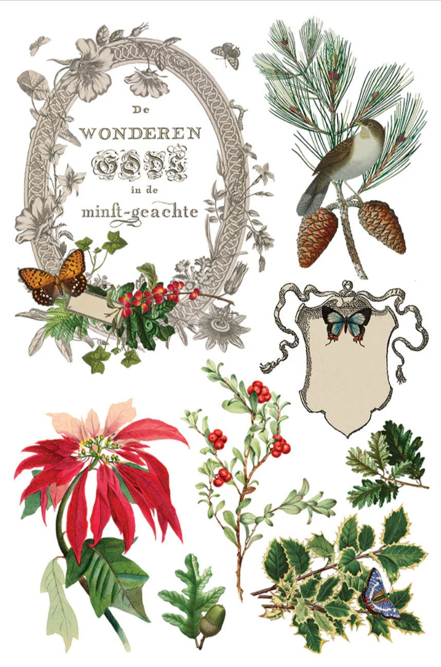 Winter Botanist IOD Transfer 8x12 Pad by Iron Orchid Designs