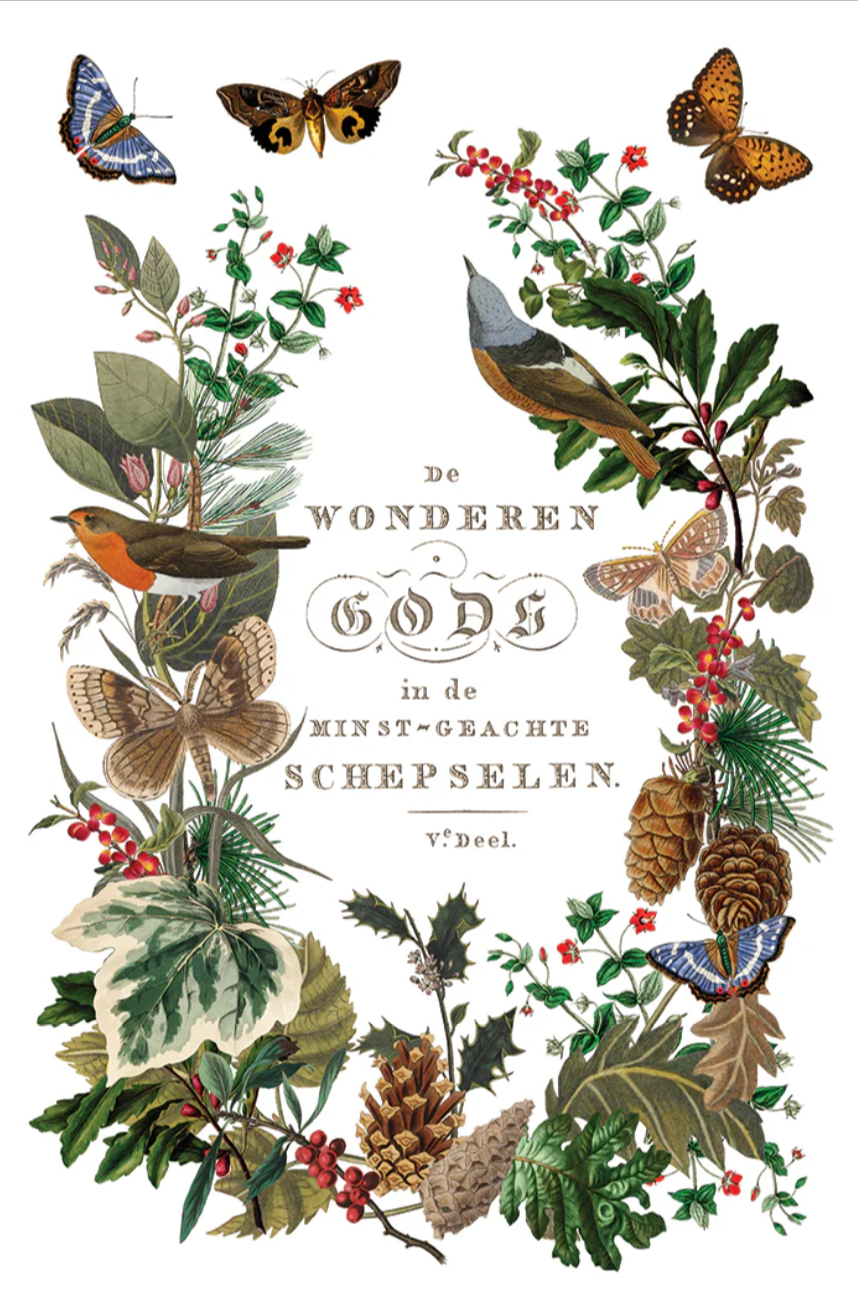 Winter Botanist IOD Transfer 8x12 Pad by Iron Orchid Designs