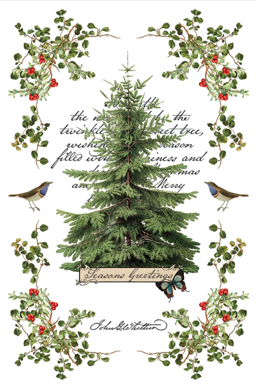 Winter Botanist IOD Transfer 8x12 Pad by Iron Orchid Designs