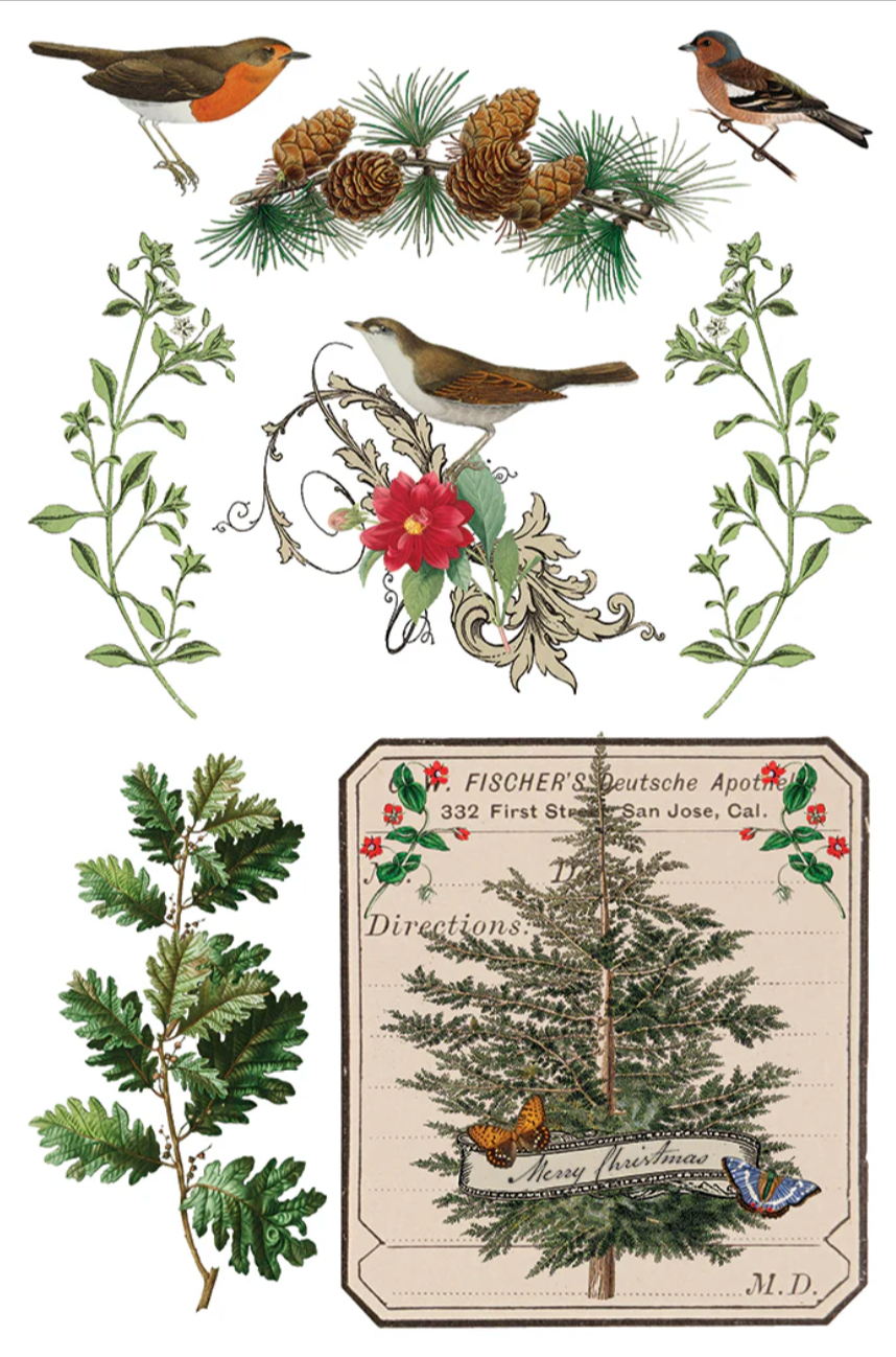 Winter Botanist IOD Transfer 8x12 Pad by Iron Orchid Designs
