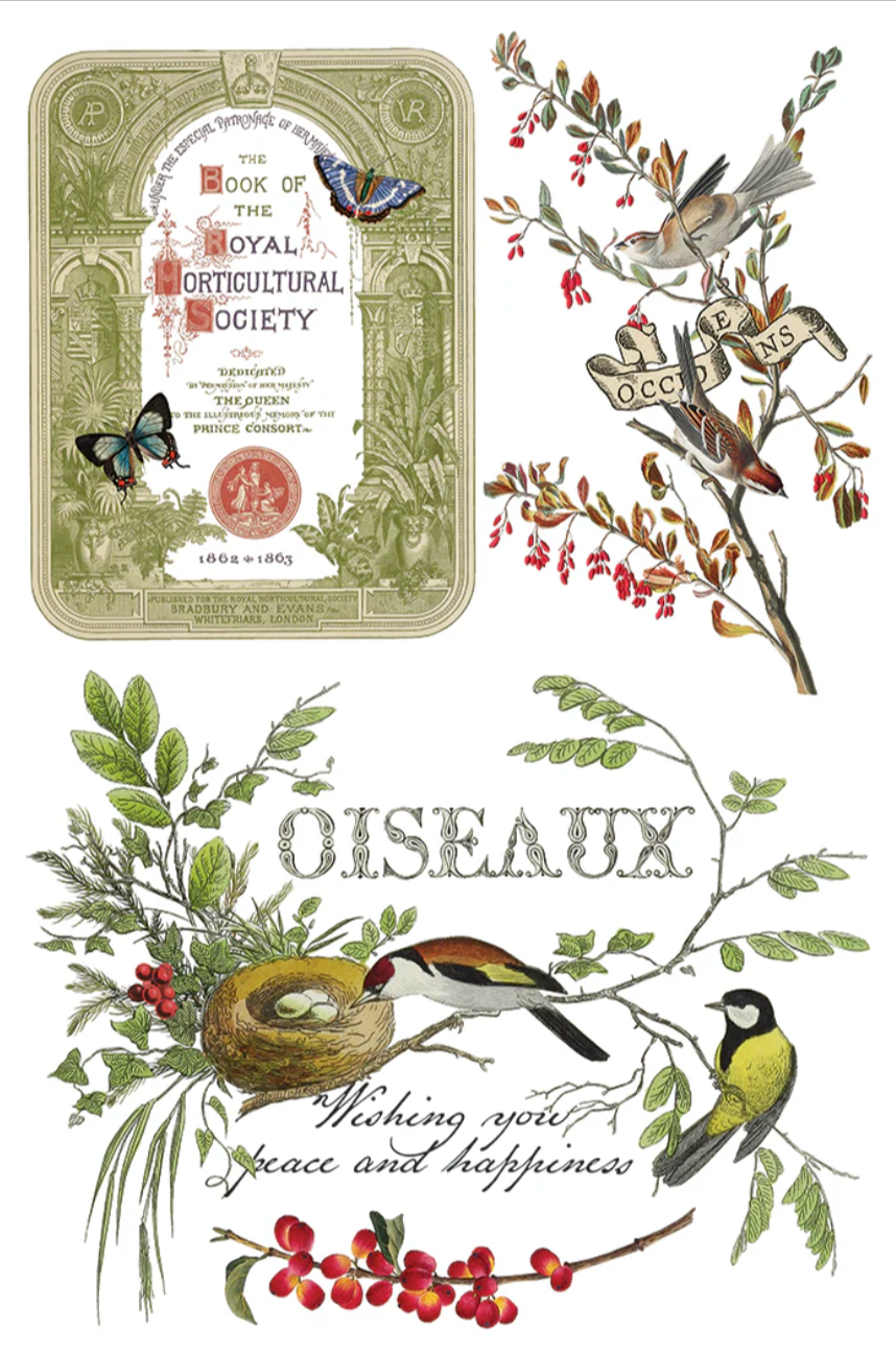Winter Botanist IOD Transfer 8x12 Pad by Iron Orchid Designs