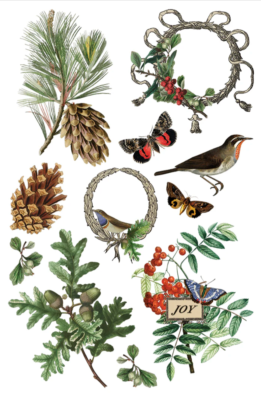 Winter Botanist IOD Transfer 8x12 Pad by Iron Orchid Designs