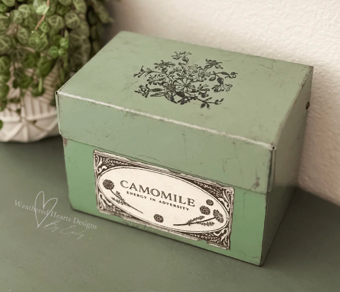 Flora & Vine 12x12 IOD Decor Stamp by Iron Orchid Designs