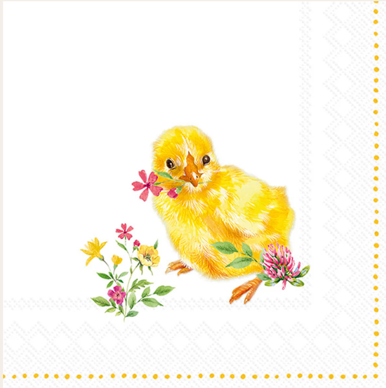 Chicks Cocktail Napkins (20 pk)