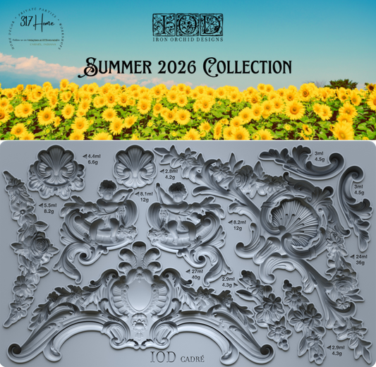 Cadré 6x10 IOD Mould by Iron Orchid Designs - NEW!