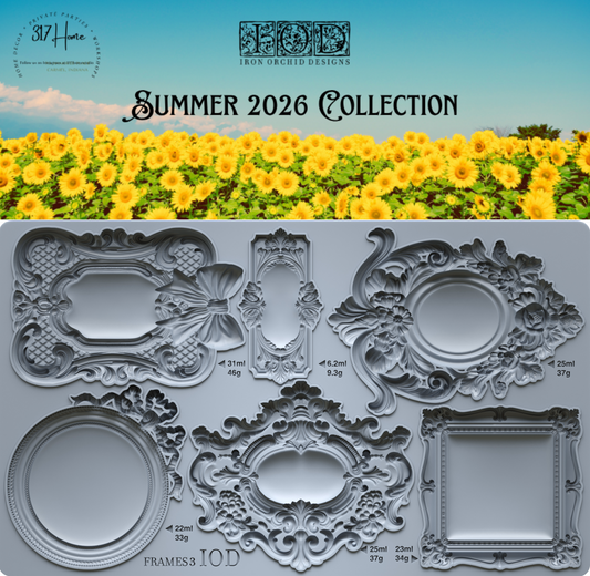 Frames 3 6x10 IOD Mould by Iron Orchid Designs - NEW!