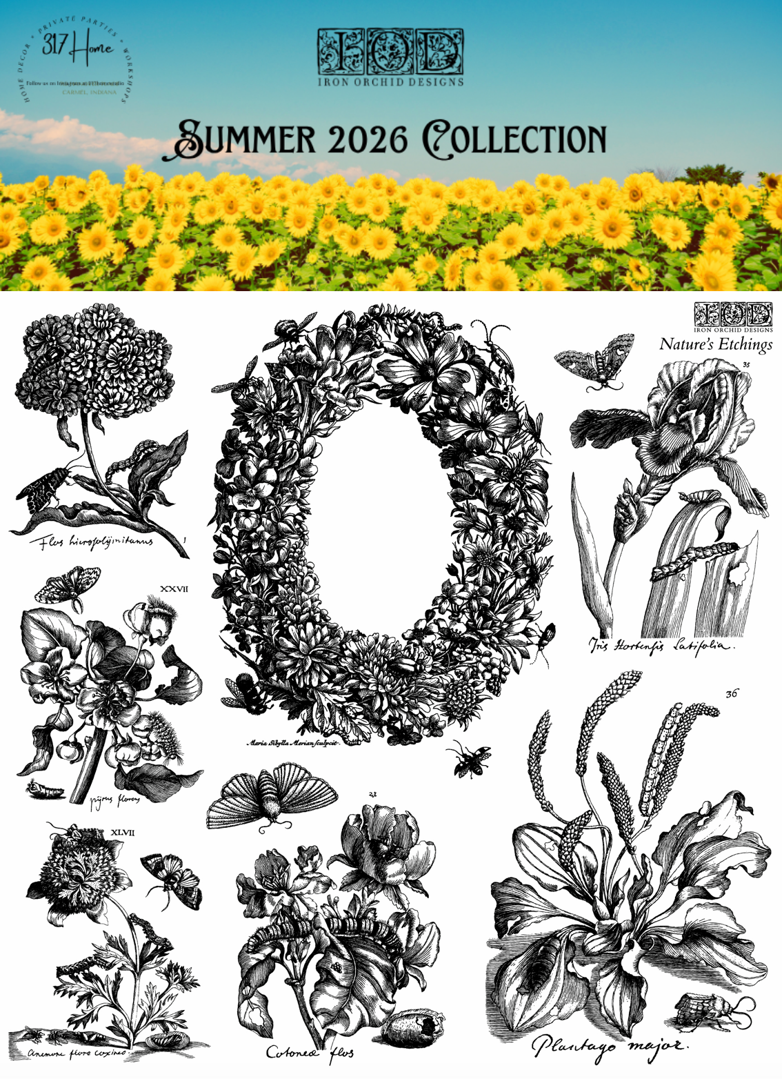 Nature's Etchings 12x12 IOD Decor Stamp by Iron Orchid Designs - NEW!