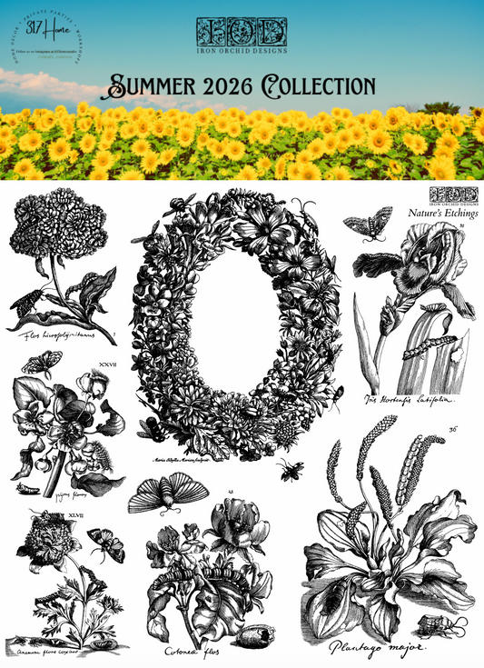 Nature's Etchings 12x12 IOD Decor Stamp by Iron Orchid Designs - NEW!