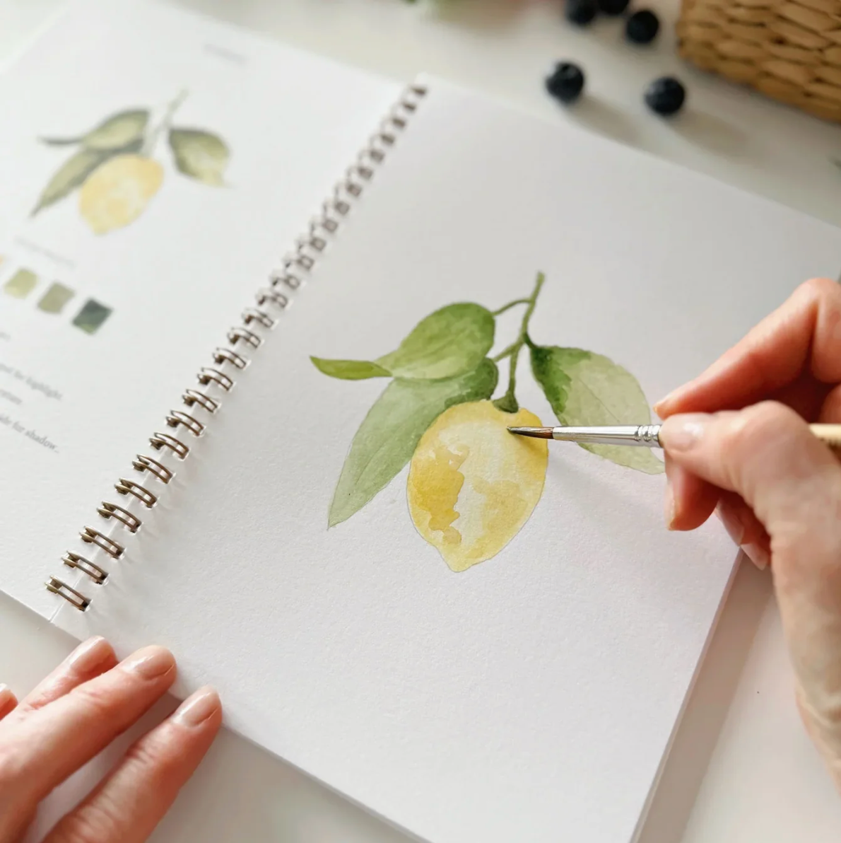 Fruit Watercolor Workbook by Emily Lex Studio