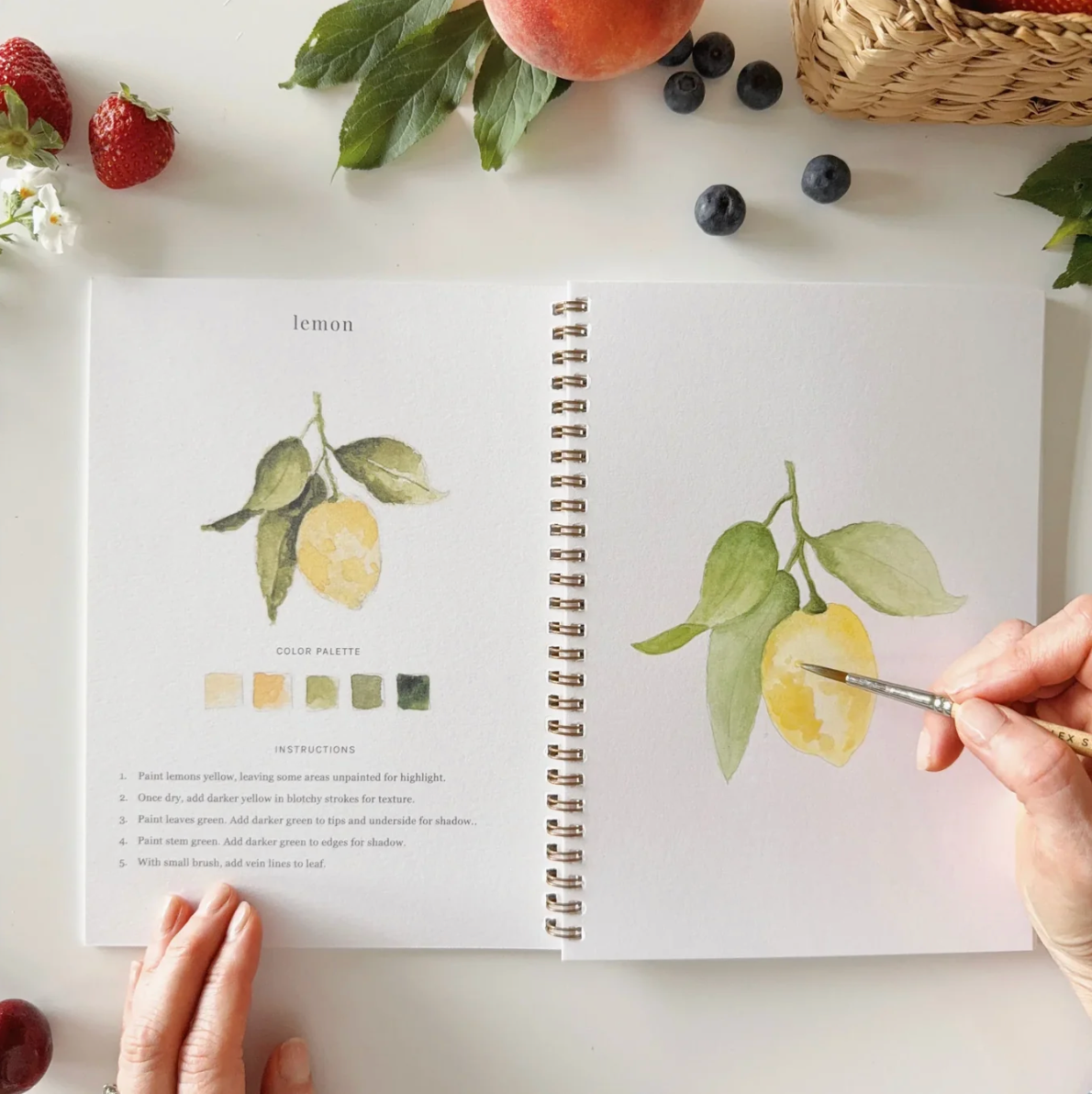 Fruit Watercolor Workbook by Emily Lex Studio