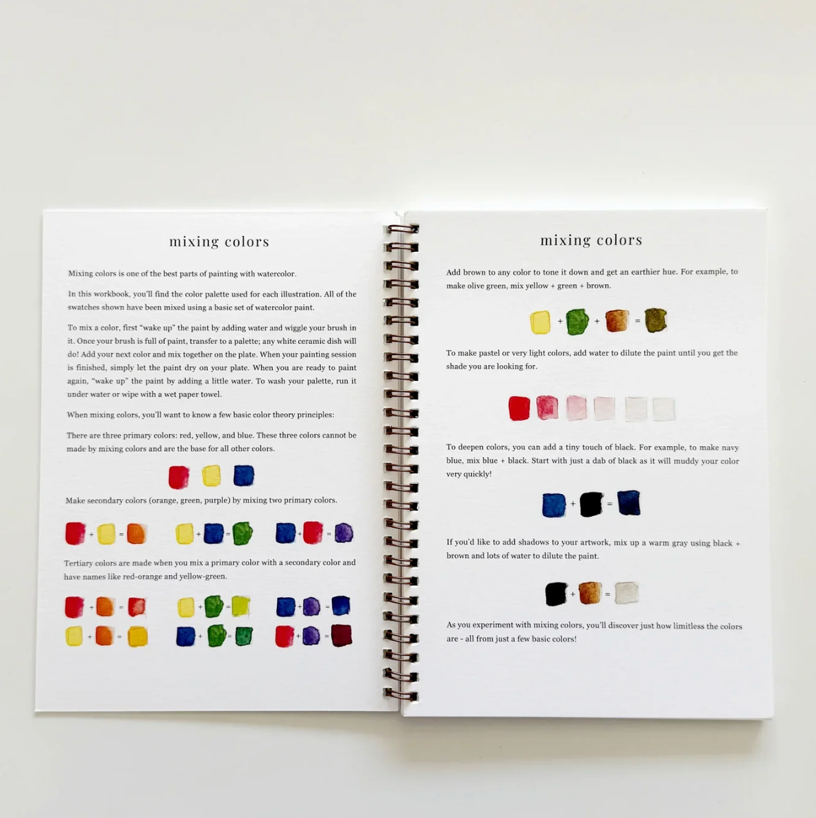 Fruit Watercolor Workbook by Emily Lex Studio