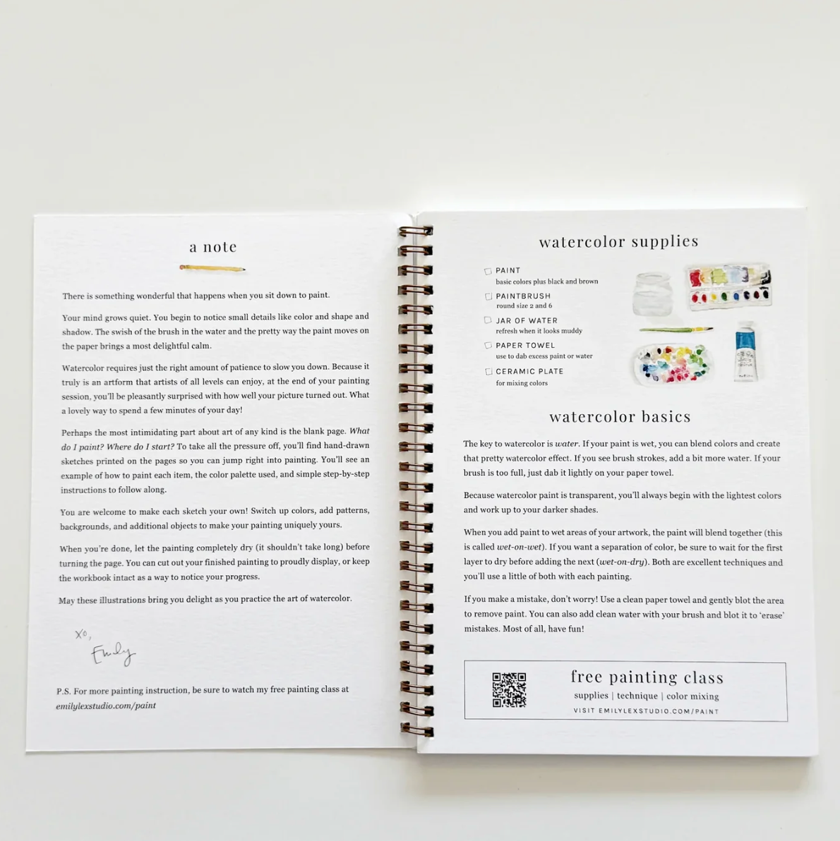 Fruit Watercolor Workbook by Emily Lex Studio